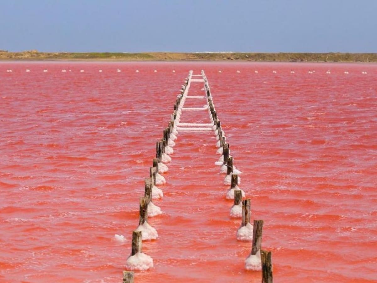 ¿Dónde queda? Esto necesitaría para visitar el “único” mar rosado de Colombia