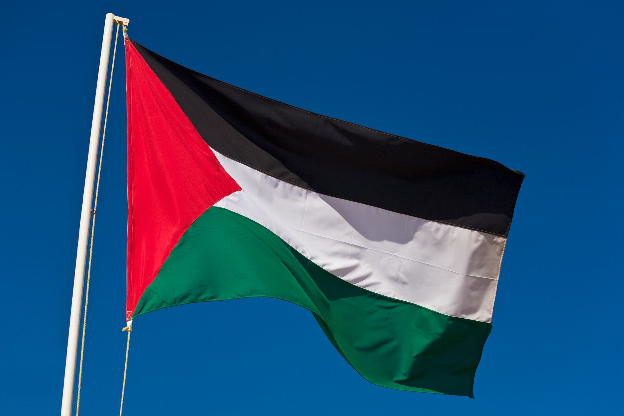 Palestina bandera imagen de referencia. Foto: Getty Images.