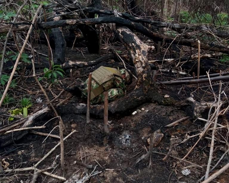 Foto: Ejército Nacional