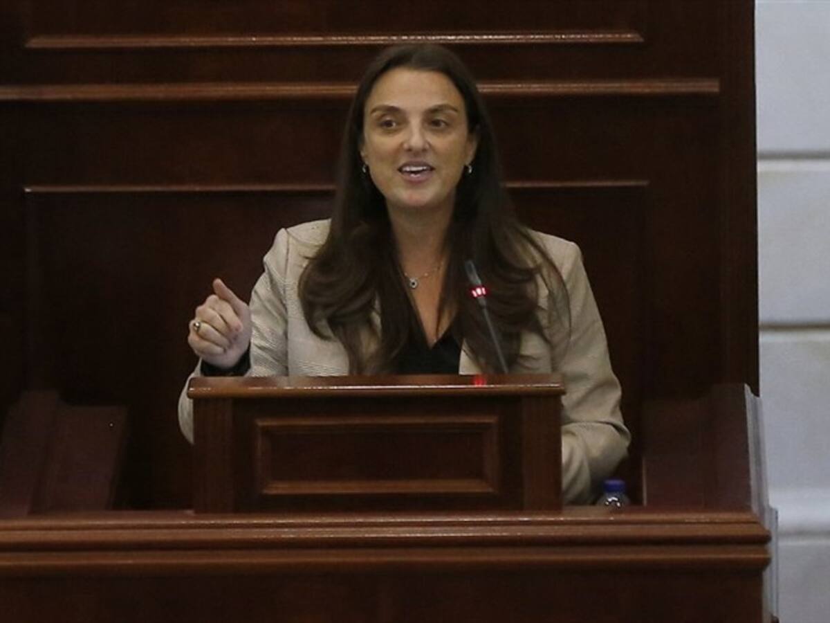 ¿Debe renunciar la ministra Karen Abudinén? Congresistas responden