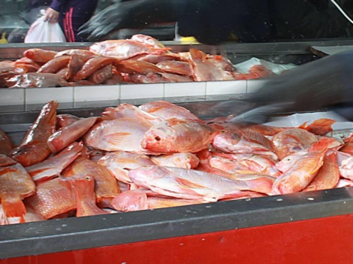 Colombiano crea chorizo de mojarra