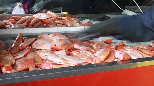 Imagen de referencia- Mojarra. Foto: Colprensa