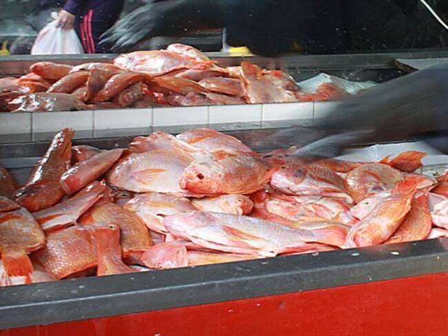 Imagen de referencia- Mojarra. Foto: Colprensa