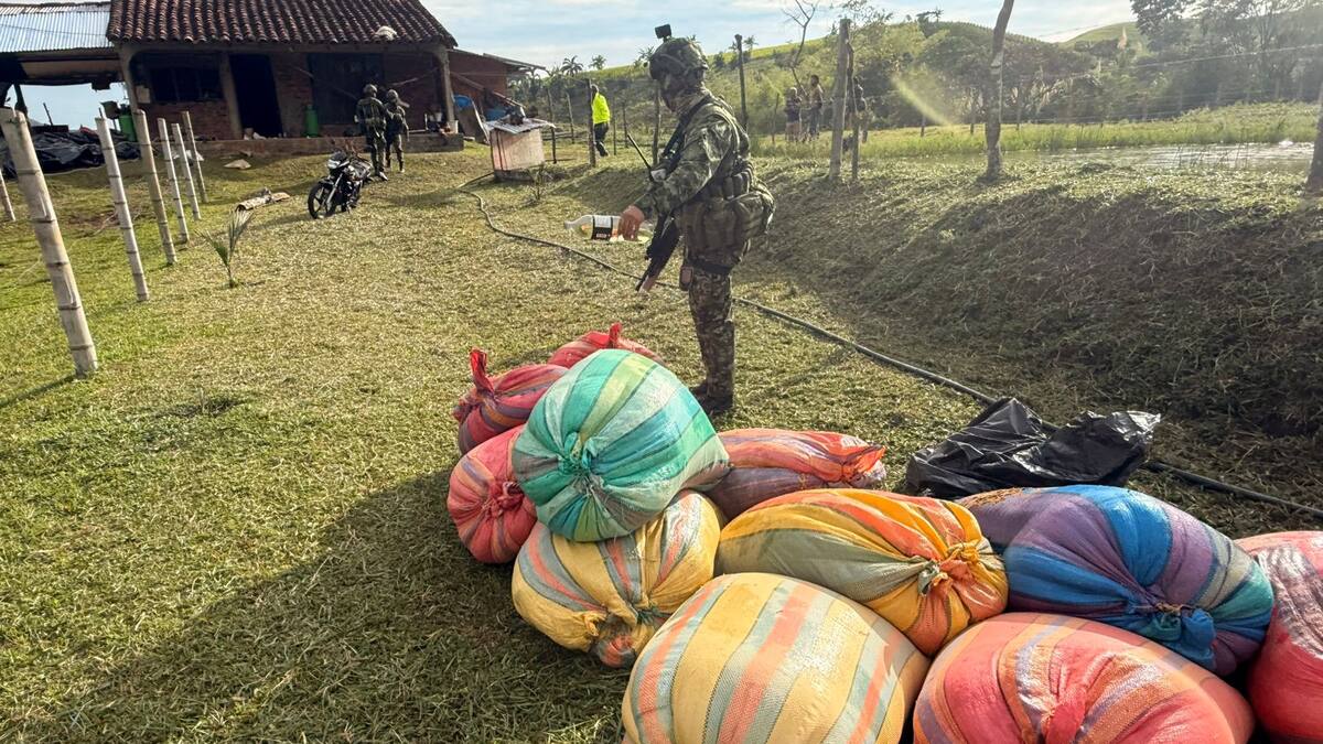 Dos toneladas y media de cocaína de las disidencias fueron destruídas en el norte del Cauca