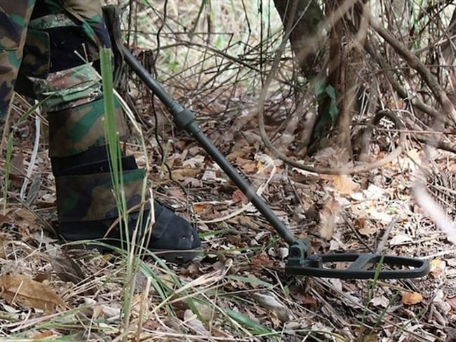 Clan del golfo y disidentes de las Farc se unen para poner minas antipersona. Foto: Colprensa