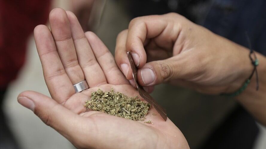 Proyecto que abre la puerta al consumo recreativo de marihuana pasa a segundo debate. Foto: Colprensa