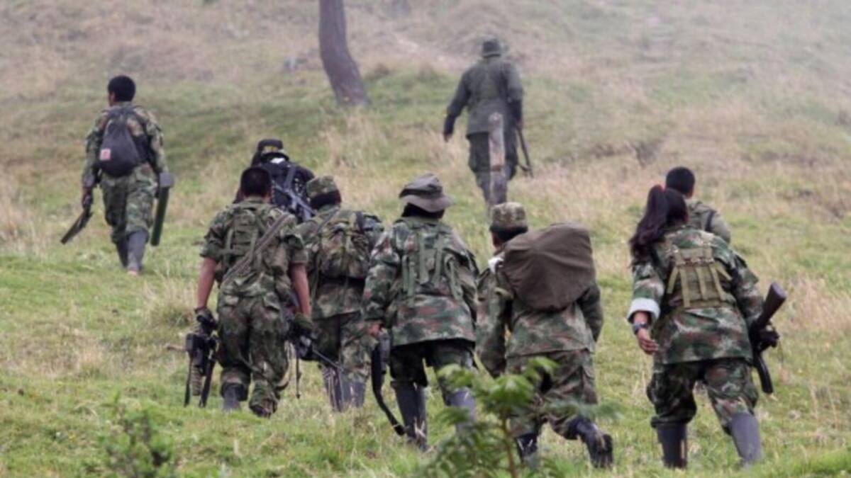 Fevcol denuncia amenazas de disidencias de las Farc por buscar desaparecidos