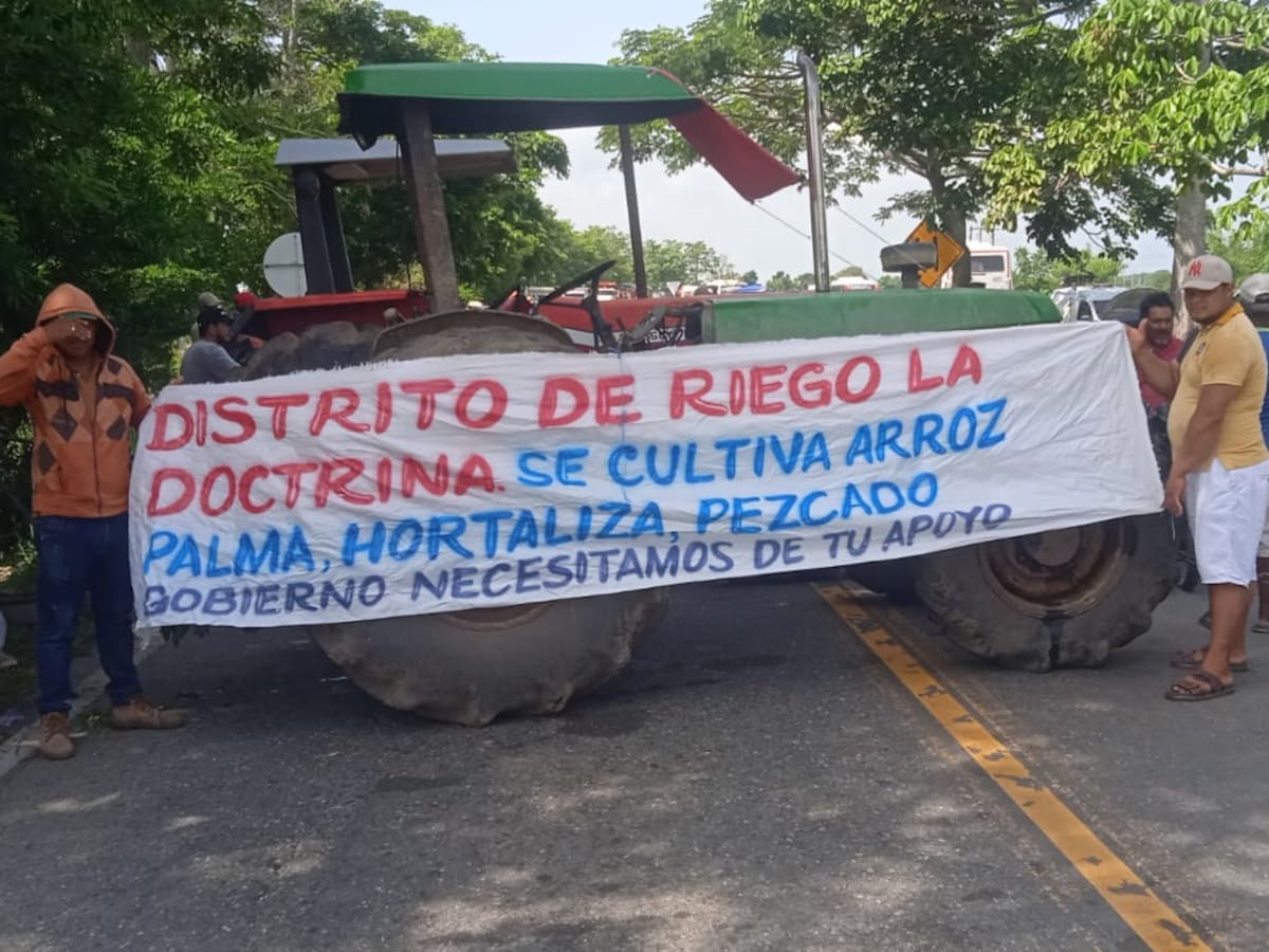 Paro arrocero: estas serían las nuevas disposiciones en el departamento de Córdoba