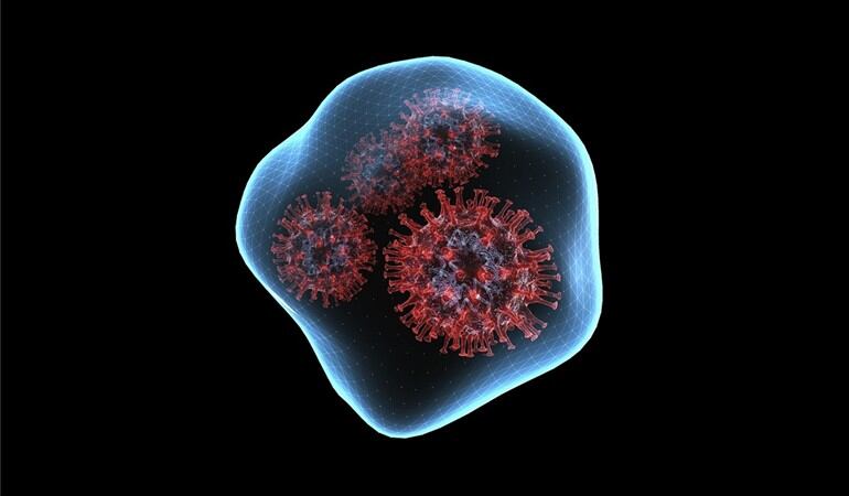 Imagen de referencia del COVID-19. Foto: Getty Images - TUMEGGY/SCIENCE PHOTO LIBRARY