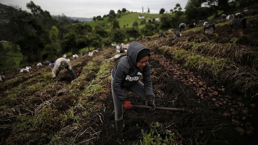 Rechazo sobre el proyecto de reforma tributaria. Foto: Colprensa