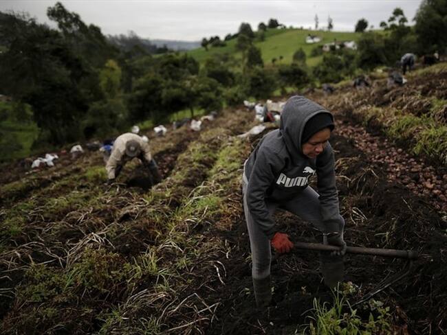 Rechazo sobre el proyecto de reforma tributaria. Foto: Colprensa