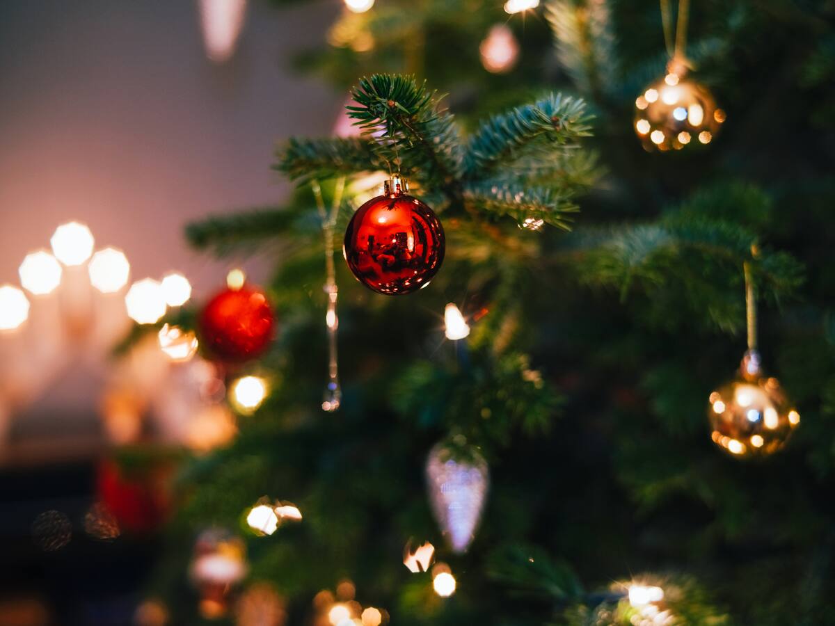 ¿Qué es lo que más le gusta hacer en diciembre?