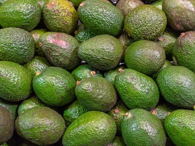 Colombia exportará aguacate hass hacia Chile. Foto: Getty Images