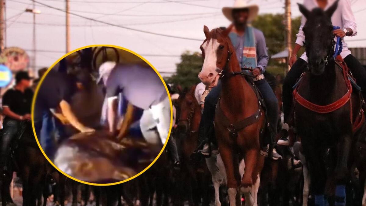 Muerte de un caballo durante cabalgata de la Feria de Tuluá desata críticas