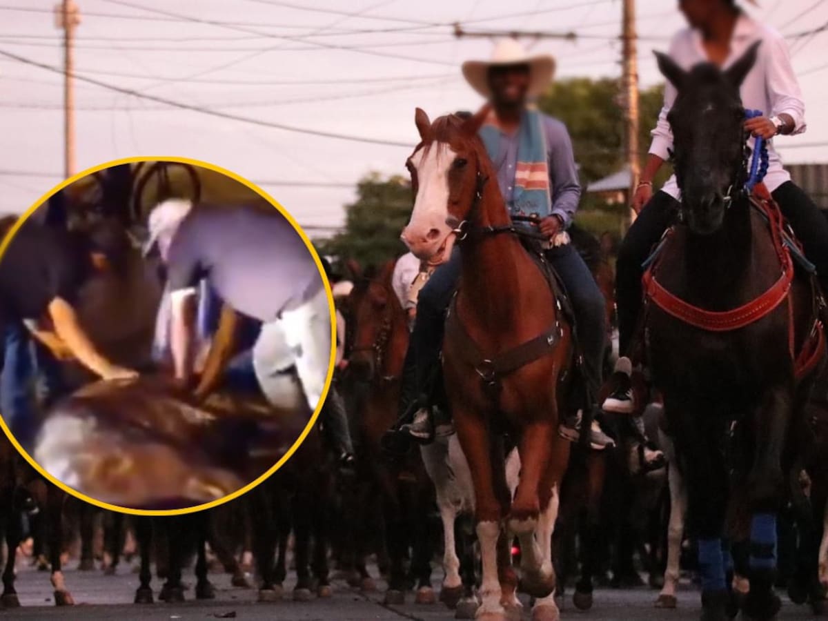 Muerte de un caballo durante cabalgata de la Feria de Tuluá desata críticas