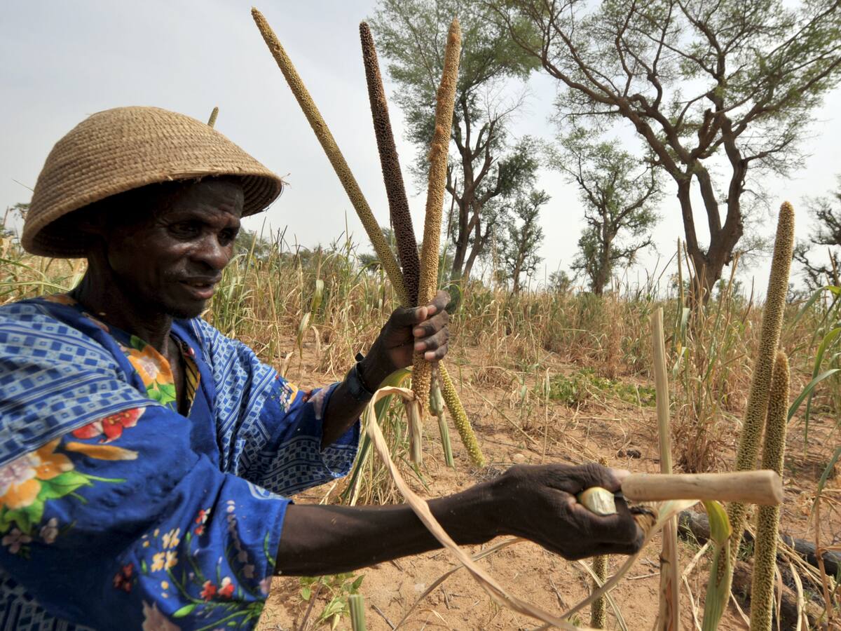 Alivio para Níger en medio de la crisis: Burkina Faso aprueba la exportación de cereales