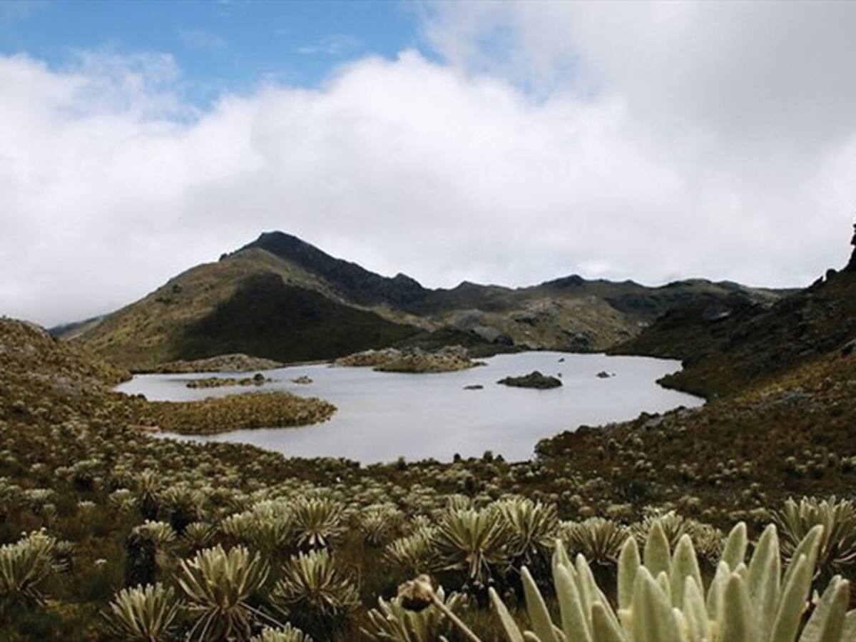 ¿Por qué tarda tanto la delimitación del Páramo de Santurbán?