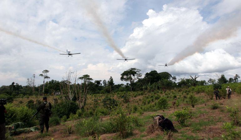 Fumigación de cultivos ilícitos con glifosato. / Foto: Archivo. 