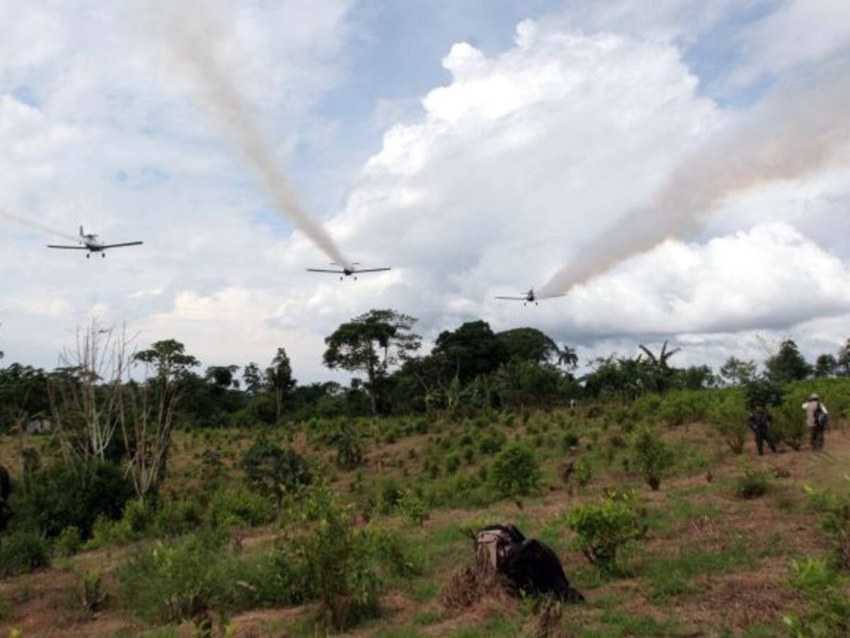 Campesinos del Catatumbo rechazan uso el uso del glifosato para la erradicación de cultivos ilícitos