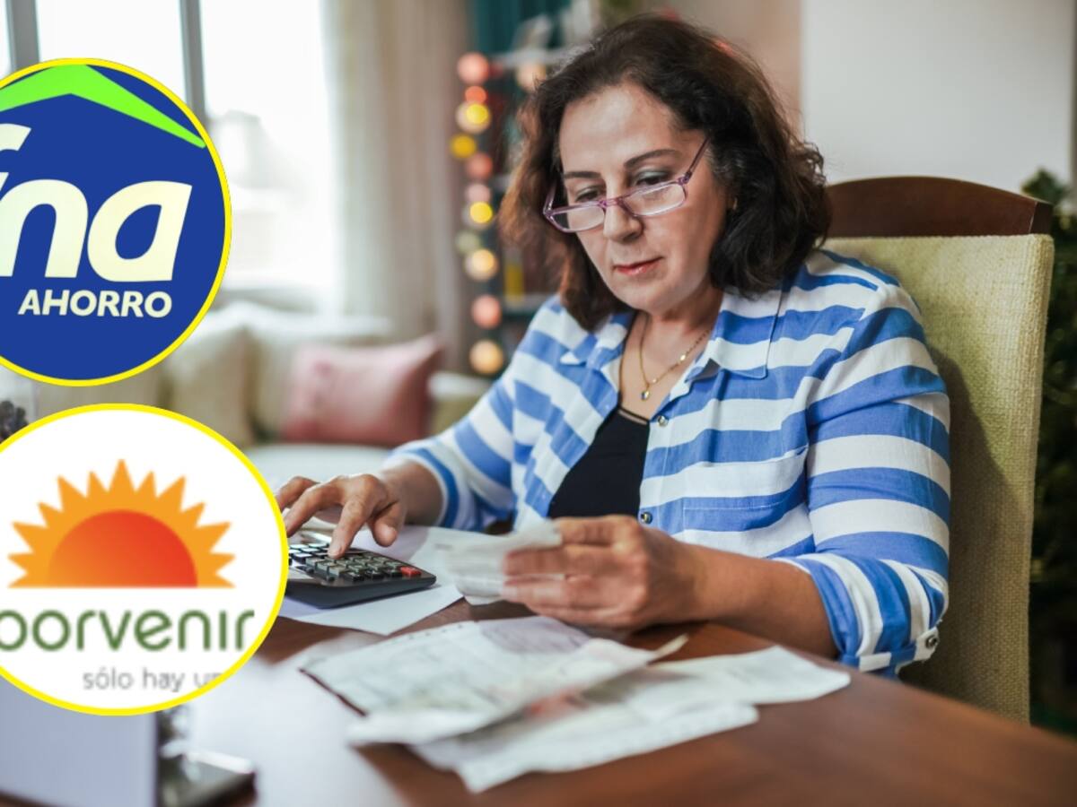 Intereses de cesantías: ¿Cómo consultar el saldo en FNA y Porvenir? Entérese