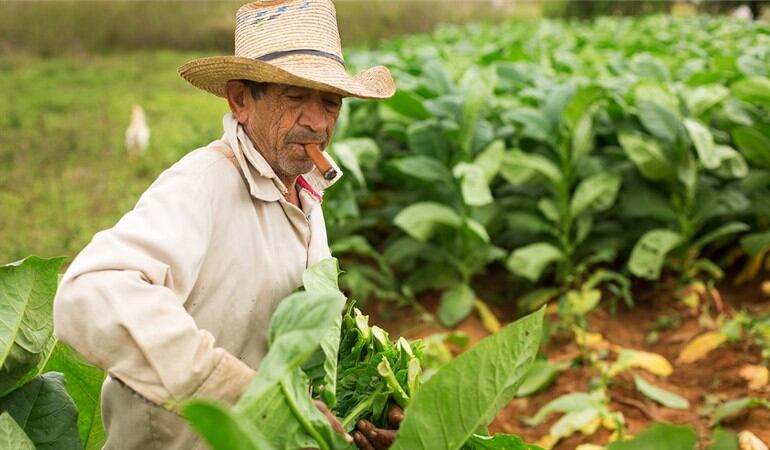 Foto: Prácticas para contribuir a la protección de los suelos
