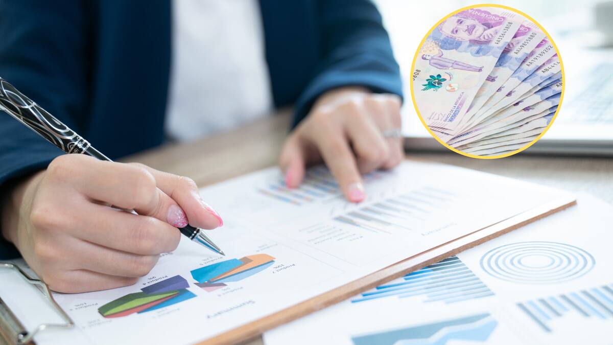 Cuál carrera pagan más en Colombia: ¿Economía o Administración de Empresas?