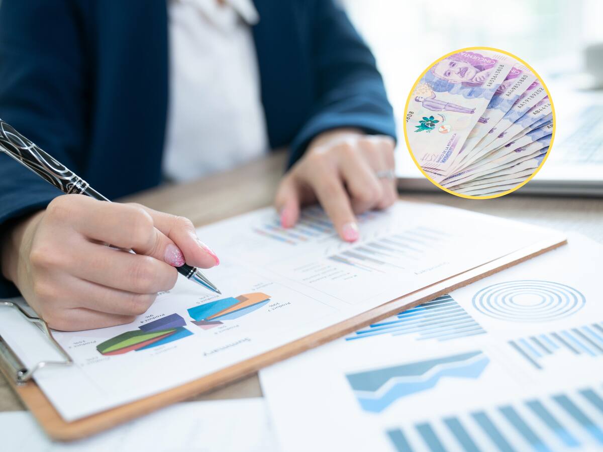 Cuál carrera pagan más en Colombia: ¿Economía o Administración de Empresas?