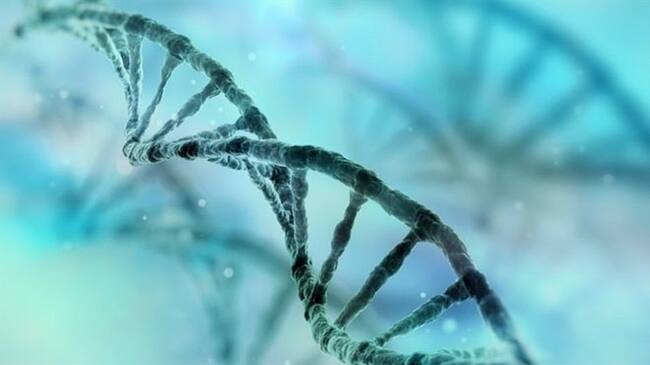 Los médicos tratan de identificar mutaciones genéticas compartidas.. Foto: BBC Mundo