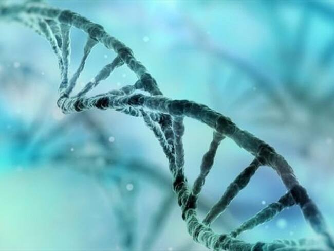 Los médicos tratan de identificar mutaciones genéticas compartidas.. Foto: BBC Mundo