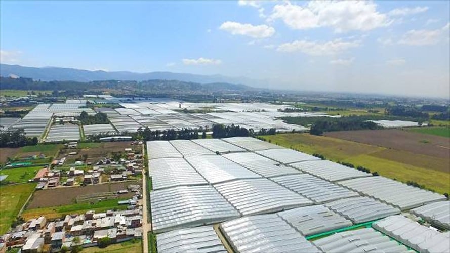 El Tribunal había ordenado iniciar proyecto de alcalde Peñalosa para la Van der Hammen. Foto: