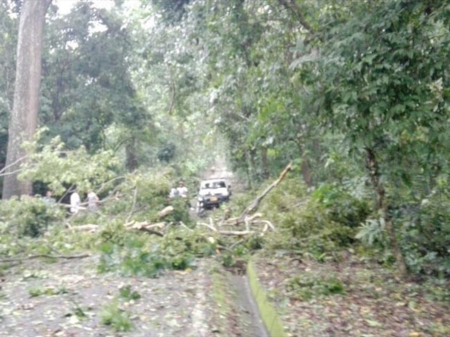 Vendaval en el Parque Tayrona ocasionó cierre temporal de la vía de ingreso. Foto: Defensa Civil