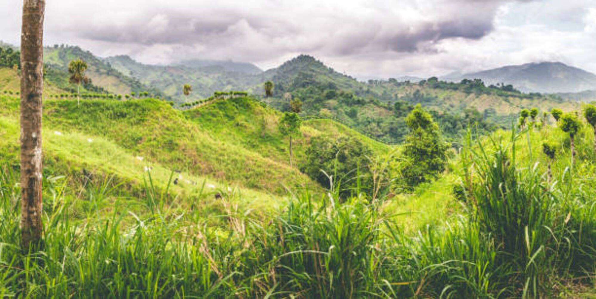 Enfrentamientos que sostienen grupos armados ilegales en  el corregimiento de Siberia, vereda La Secreta / Imagen de referencia. Foto: Getty Images