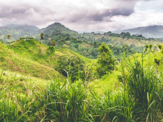 Enfrentamientos que sostienen grupos armados ilegales en el corregimiento de Siberia, vereda La Secreta / Imagen de referencia. Foto: Getty Images