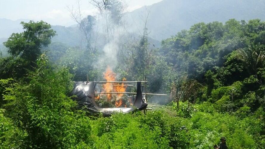 Destruidos nueve laboratorios de Cocaina en el departamento de Putumayo / Imagen de referencia. Foto: Colprensa