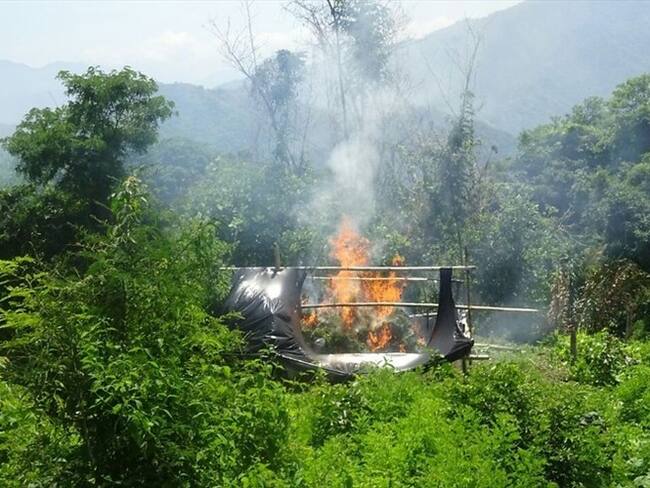 Destruidos nueve laboratorios de Cocaina en el departamento de Putumayo / Imagen de referencia. Foto: Colprensa