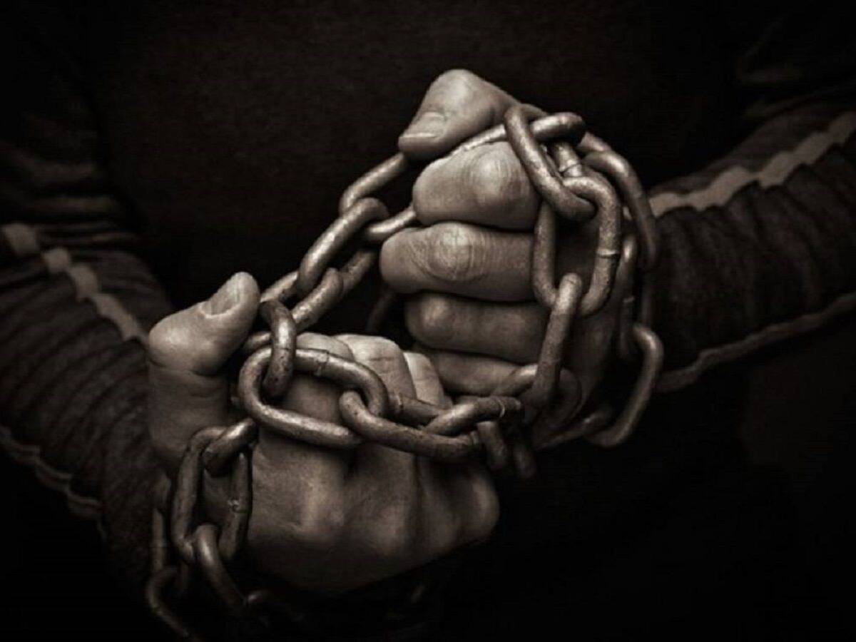 Dos palmicultores fueron secuestrados en el municipio de Tibú