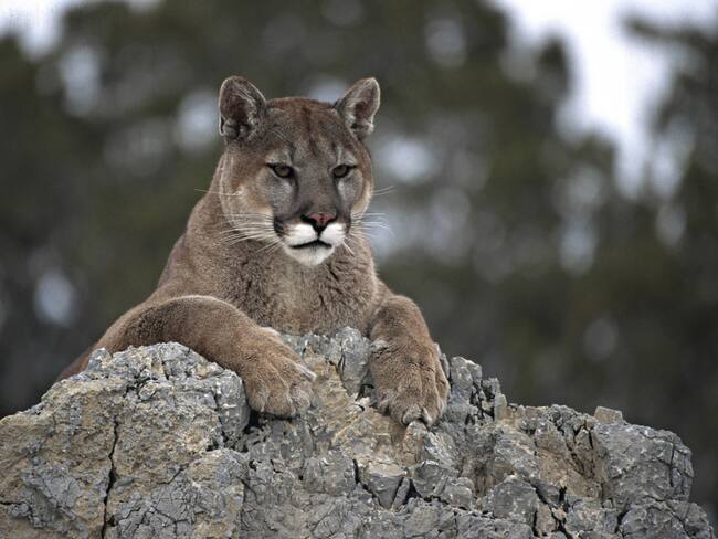 Imagen de referencia. Foto: GettyImages