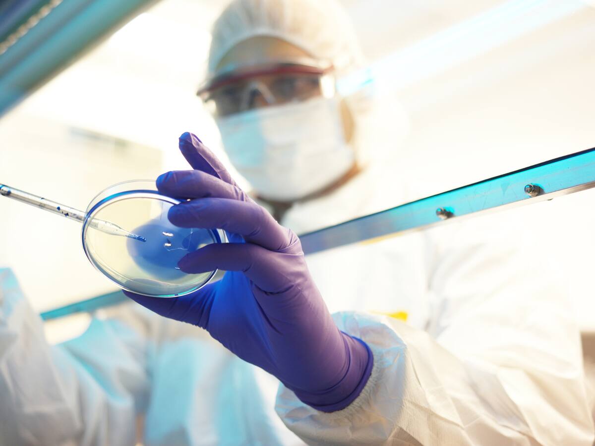 Así funciona el negocio de clonar mascotas en España: costos y condiciones