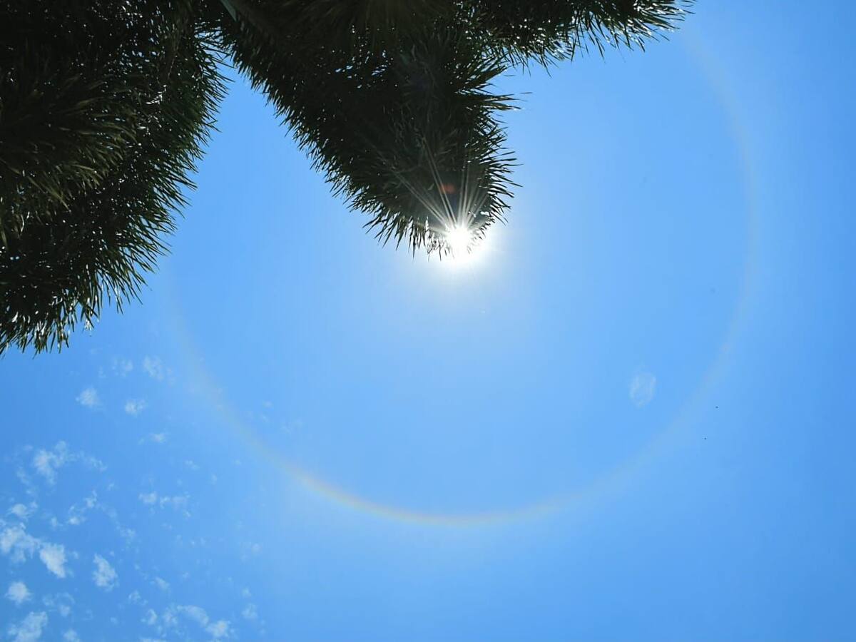 ¿Por qué se produce un halo solar?
