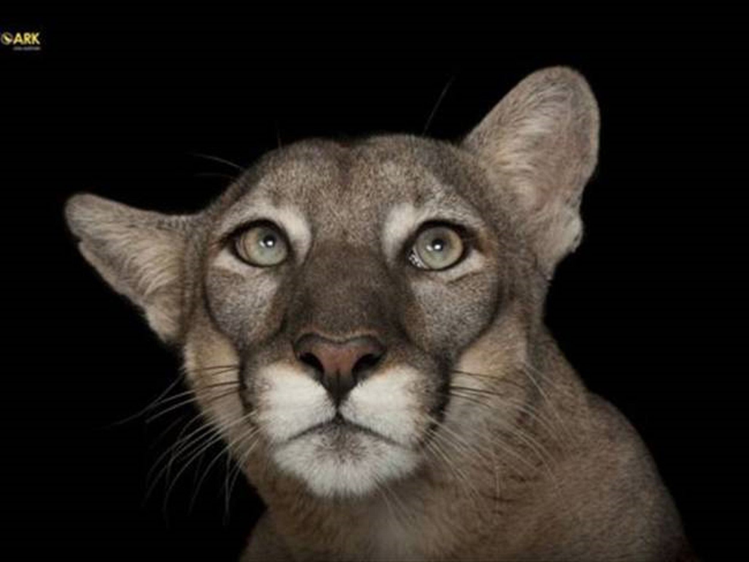 Foto: JOEL SARTORE/NATIONAL GEOGRAPHIC PHOTO ARK