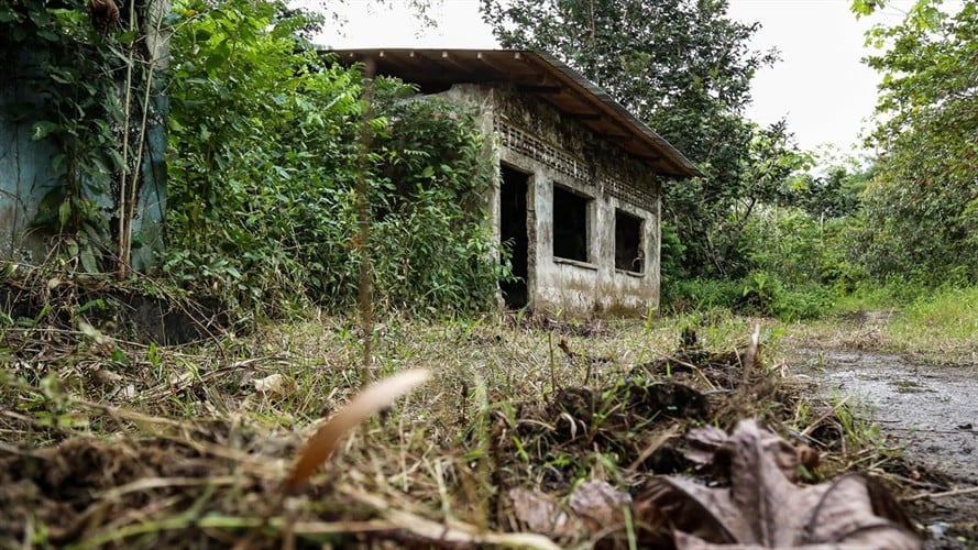 Denuncian confinamiento de familias en Bojayá. Foto: Colprensa - Camila Díaz