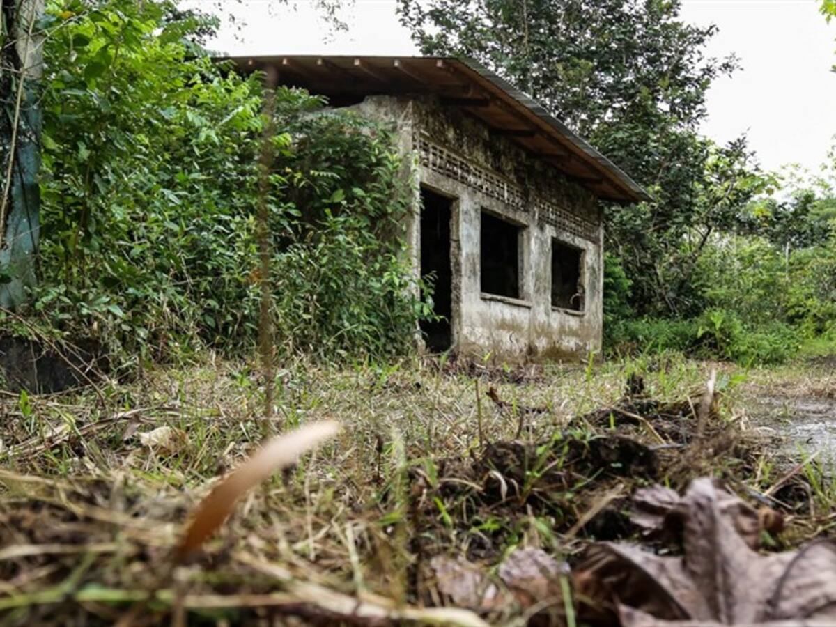 Denuncian confinamiento de 88 familias en Bojayá por incursión de Autodefensas Gaitanistas