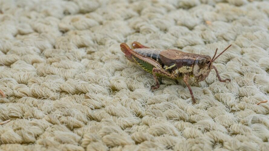 Imagen de referencia. Foto: Getty Images