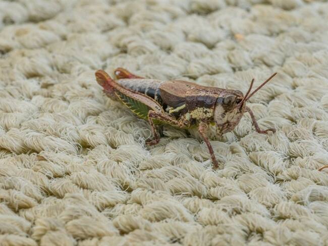 Imagen de referencia. Foto: Getty Images