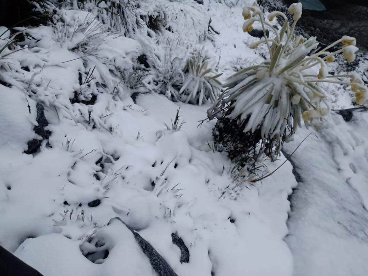 Video: imágenes del Nevado de El Cocuy en Boyacá desde los 4.200 metros de altura