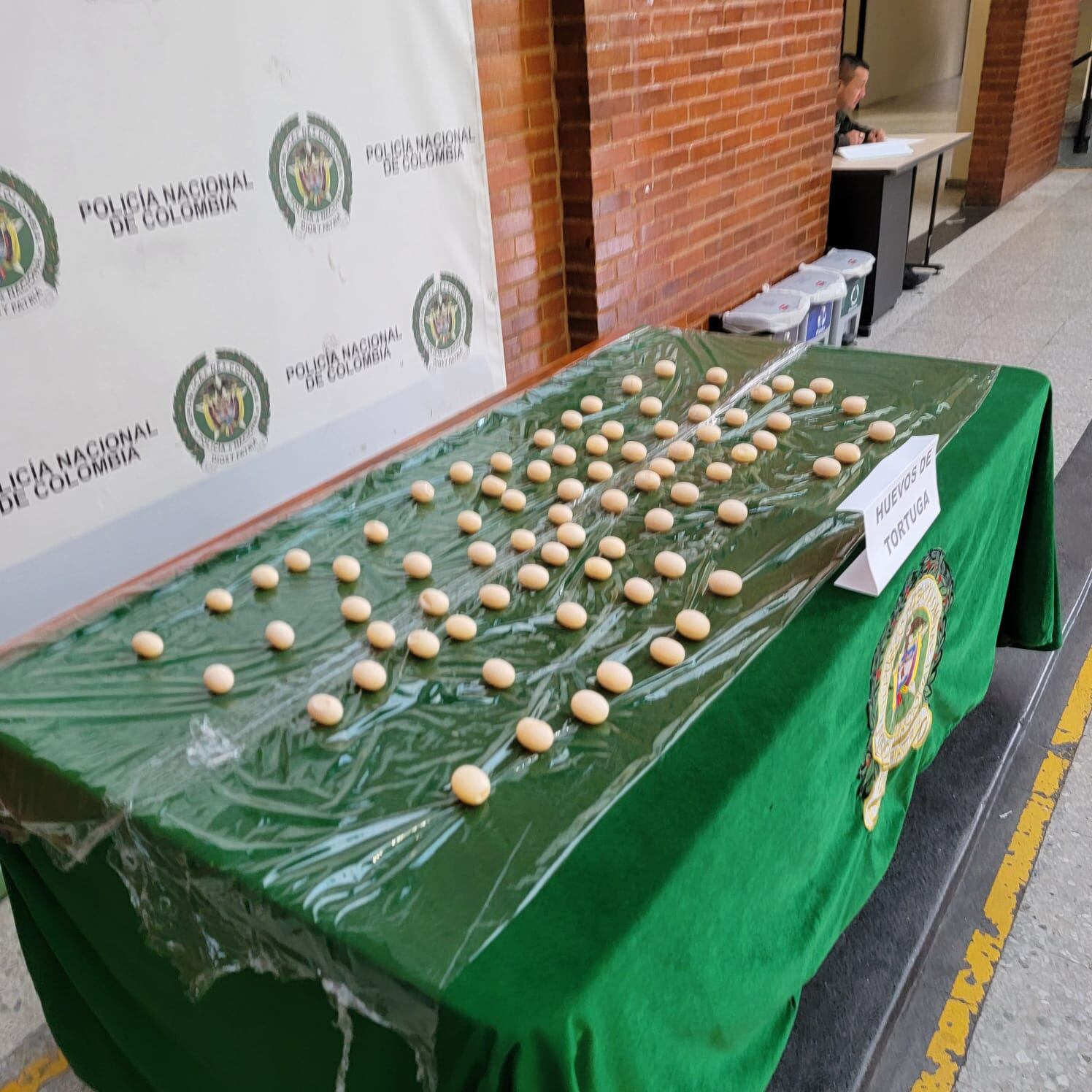 Policía incautó alrededor de 100 huevos de tortuga en el aeropuerto El Dorado de Bogotá. Foto: cortesía Policía.