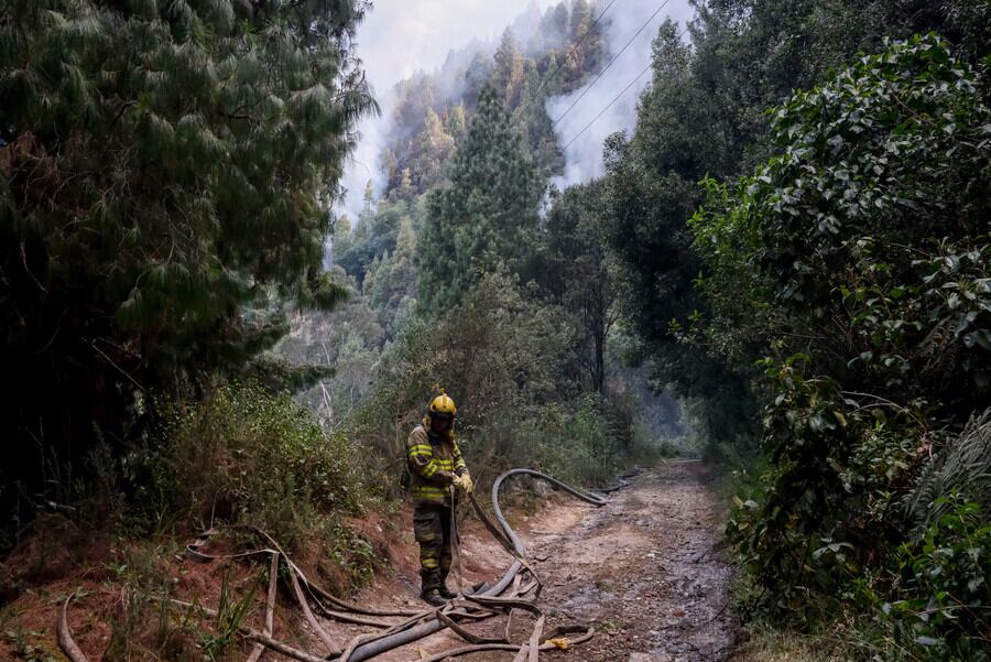 Incendios forestales en Bogotá. Foto: Colprensa.