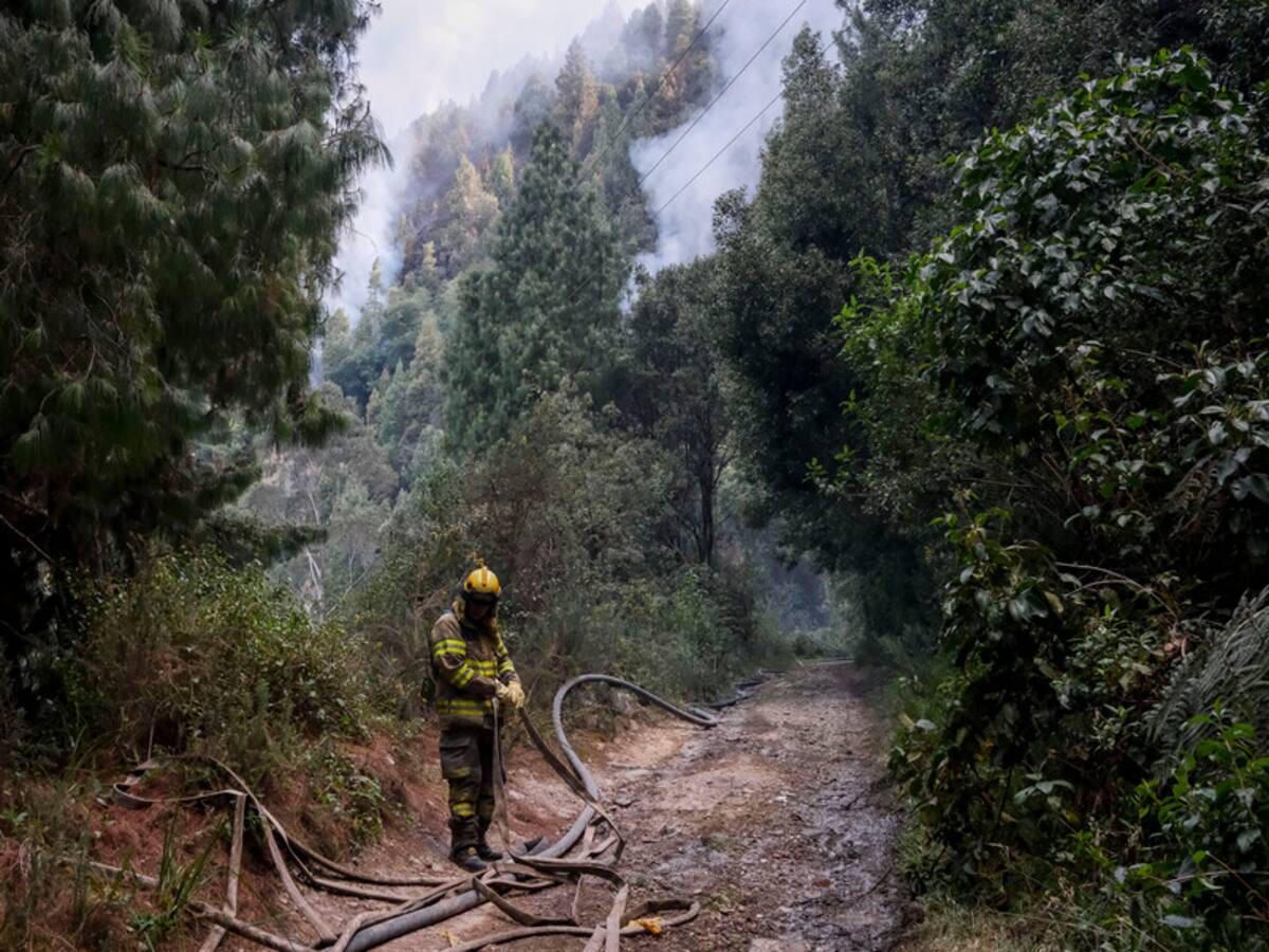 Bomberos de Bogotá controlan incendio en cercanías al cerro de Guadalupe
