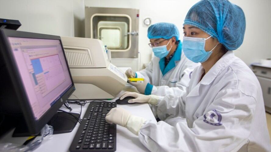 En una investigación, infectaron a nueve monos y tras recuperarse fueron expuestos nuevamente al virus y no enfermaron.. Foto: Getty Images