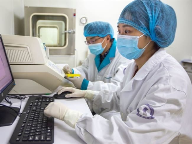 En una investigación, infectaron a nueve monos y tras recuperarse fueron expuestos nuevamente al virus y no enfermaron.. Foto: Getty Images